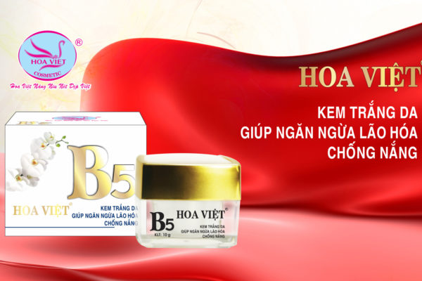 Kem trắng da giúp ngăn ngừa lão hóa, chống nắng 10g (Hoa Việt) B5