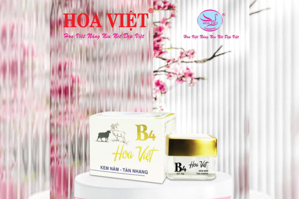 Kem nám tàn nhang 10g (Hoa Việt) B4