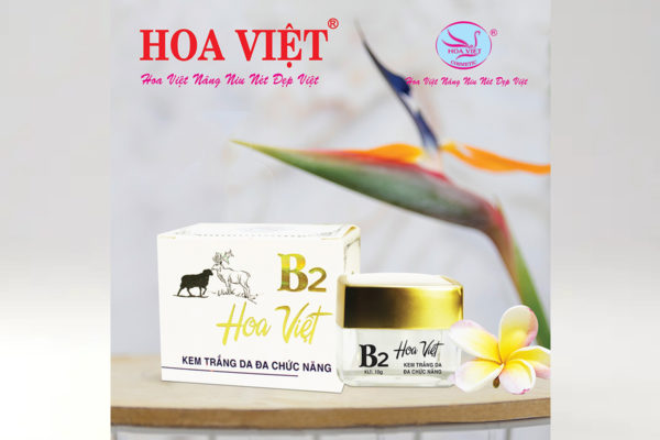 Kem trắng da đa chức năng 10g (Hoa Việt) B2